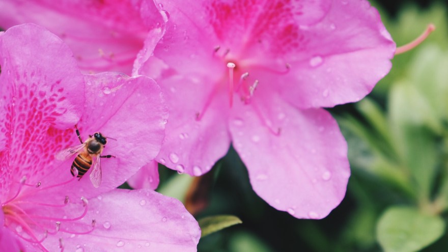 Processed with VSCOcam with hb2 preset